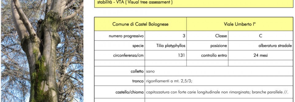 Censimenti